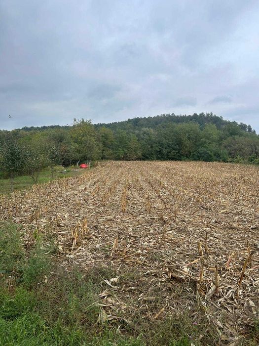Casă de vânzare în comuna Taut, jud. Arad