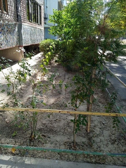 Uy sotiladi 3 xona , chirchiq 8 mikrorayon