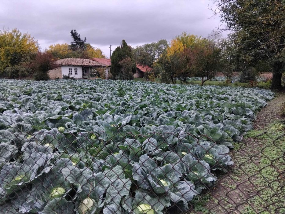 Продава се Къща в Варна, Левски - 100 кв.м за 500 €/кв.м - Снимка #14