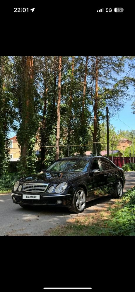 Апалон 18 размер разноширокие