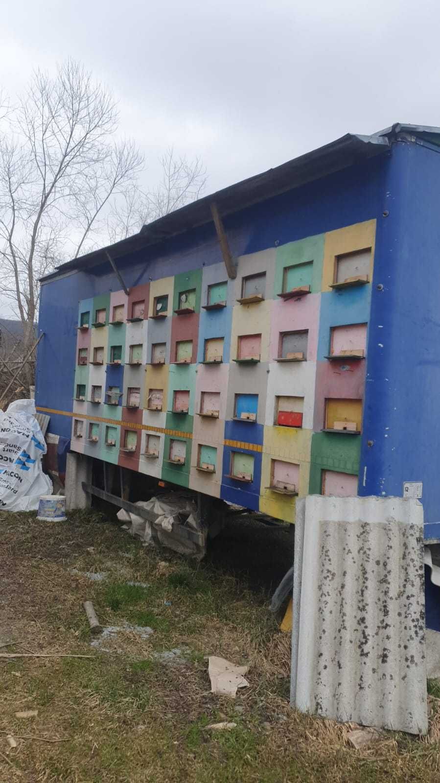 Remorca apicola pavilion de 80 de familii cu sau fara albine