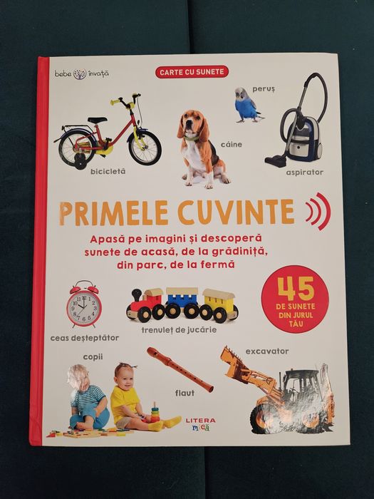 Carte cu sunete - Primele cuvinte - Bebe Invata