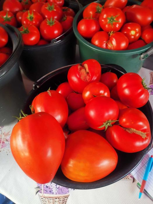 Vand rosii dulci si gustoase crescute ecologic din diverse soiuri