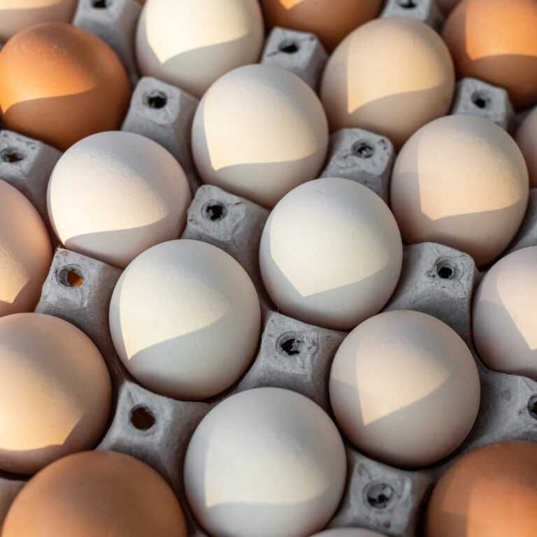 Ouă proaspete de țară