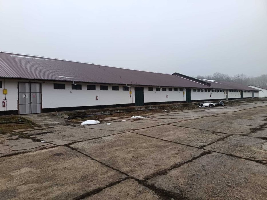 Depozit / Hale de inchiriat