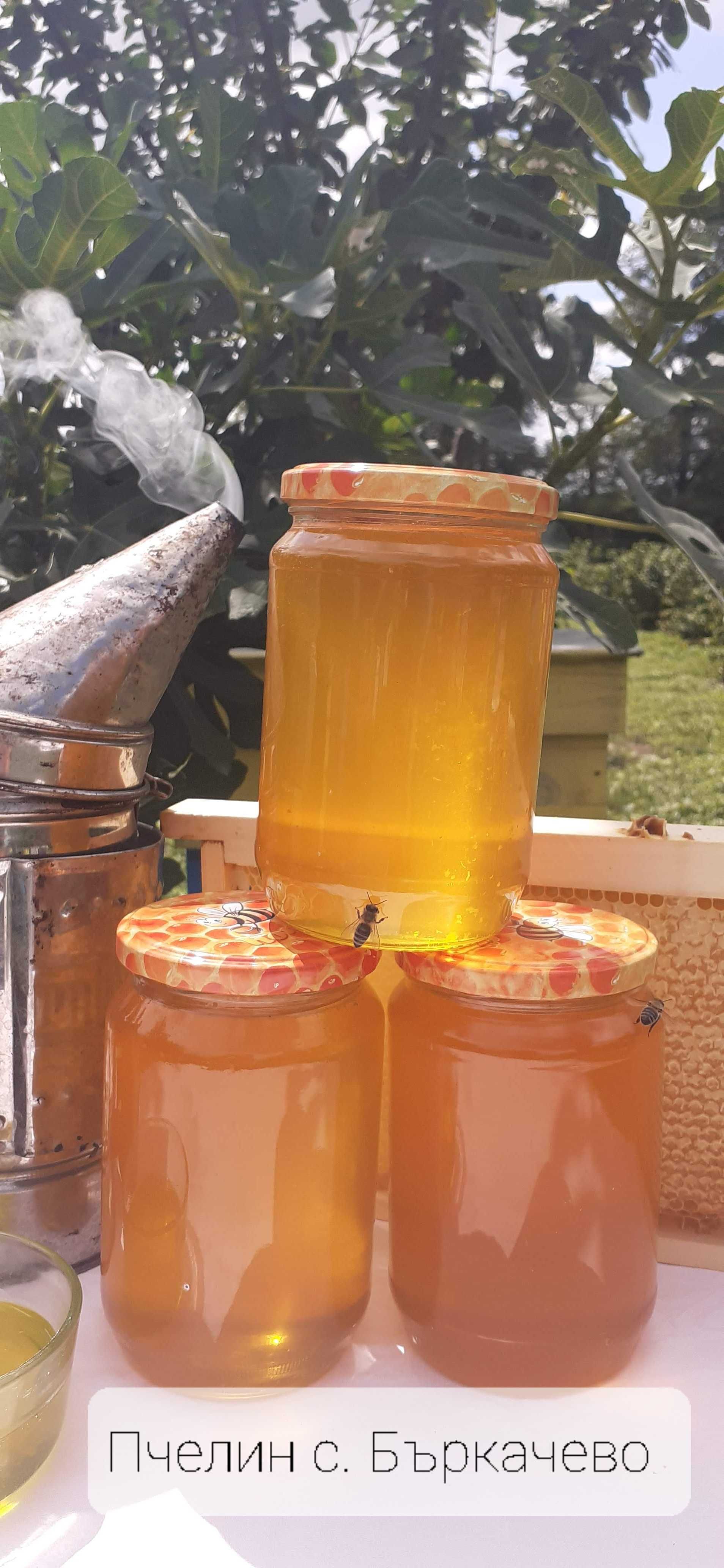 Пчелен мед от регистриран пчелин