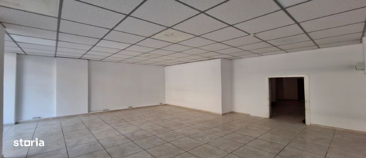 Iuliu Manu sp 91 mp trafic intens