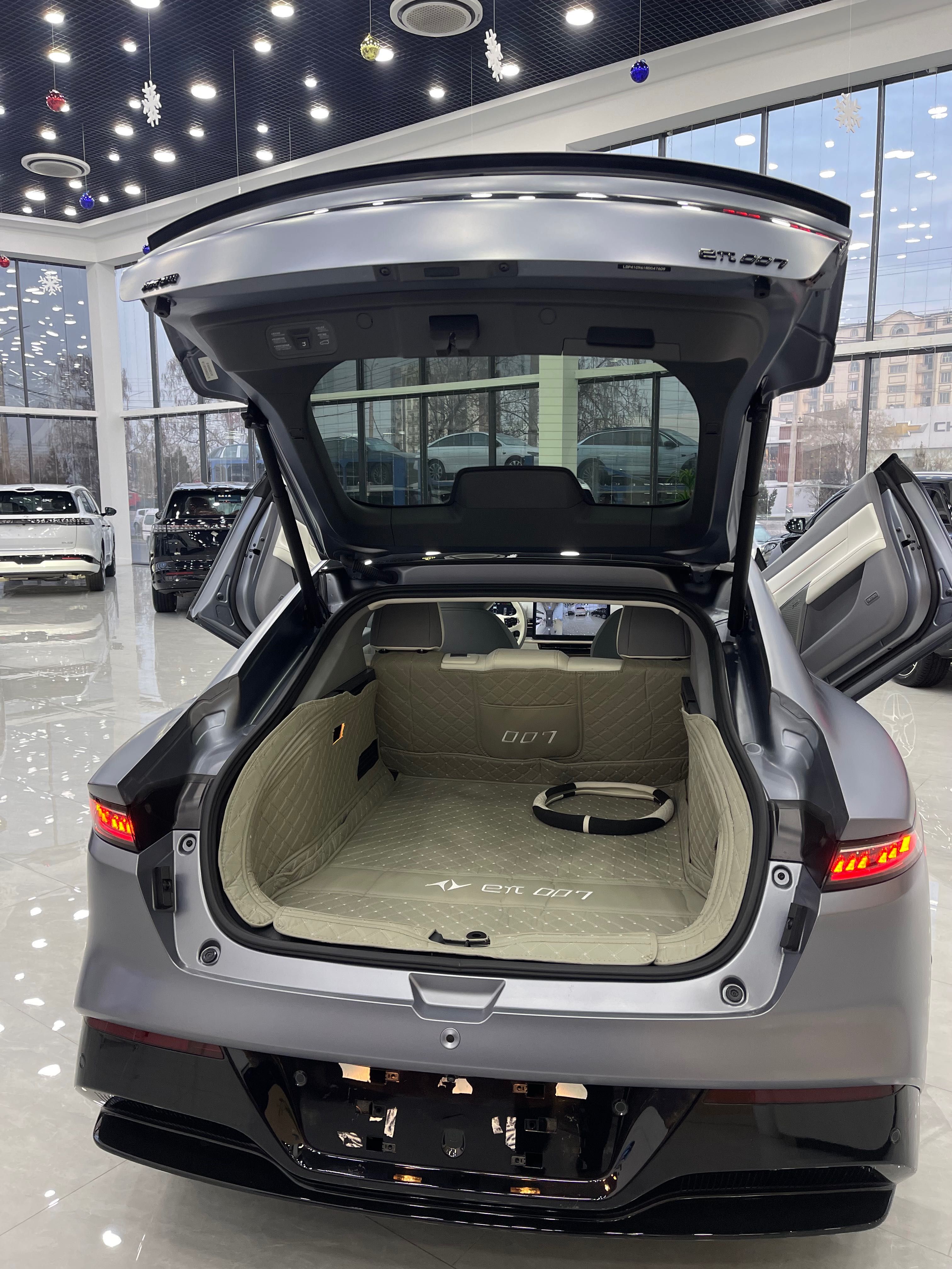 DongFeng EP 007 Full Electro