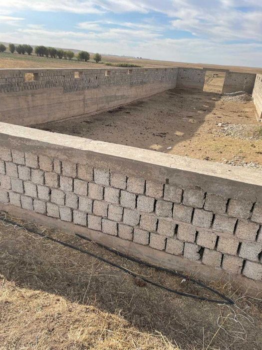 2 земельных участка в Туркестанской обл Толебийском р-не в с. Киелитас