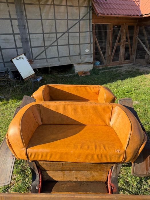 Trasura pentru un cal sau ponei