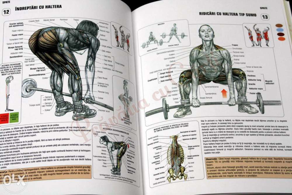 Cartea "Anatomia unui corp perfect"