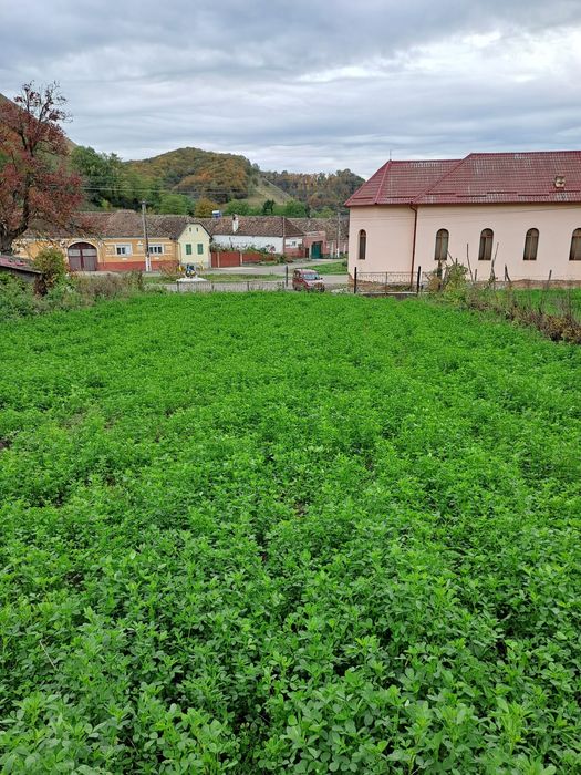 Vând teren intravilan