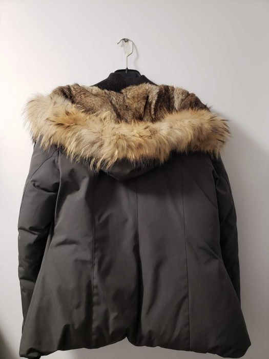 Jacheta dama Canadian Wolf