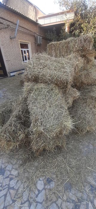 Бугдой пресс сотилади