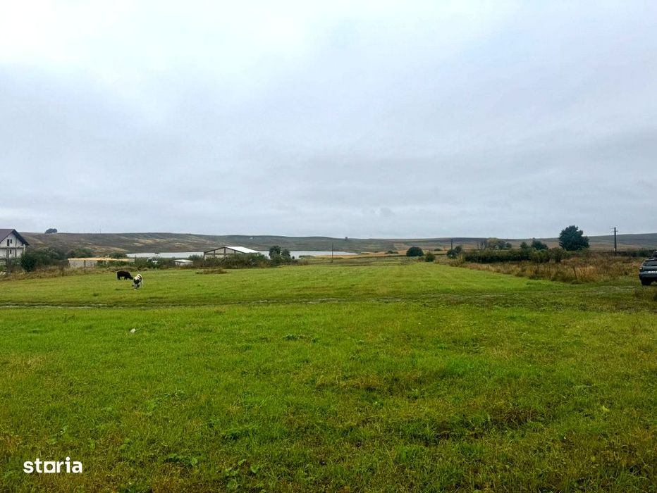 Vanzare 10.000 mp teren Liteni Suceava- la strada -potrivit proiect fo