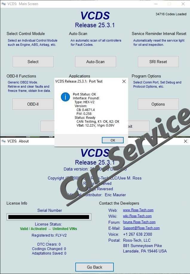 Vagcom Hex V2, ARM STM32F429, VCDS 25.3.1 Engleza Romana, updatabila