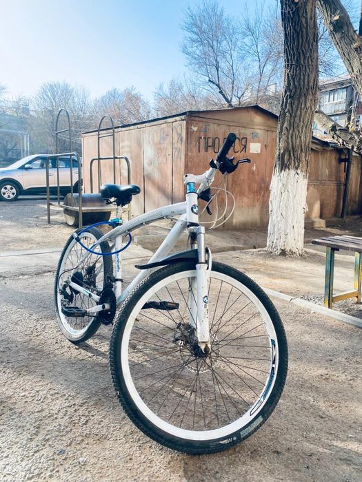 26 белсе вет вембы