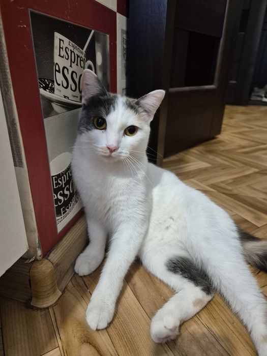 Отдам в хорошие руки