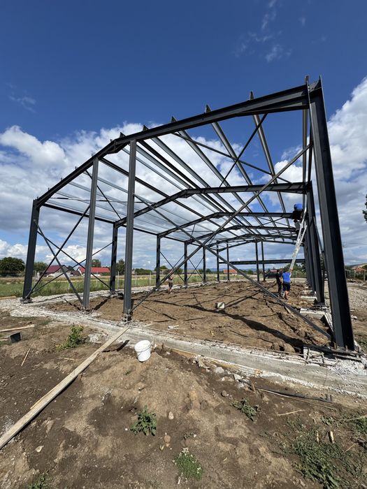 Vand structura metalica