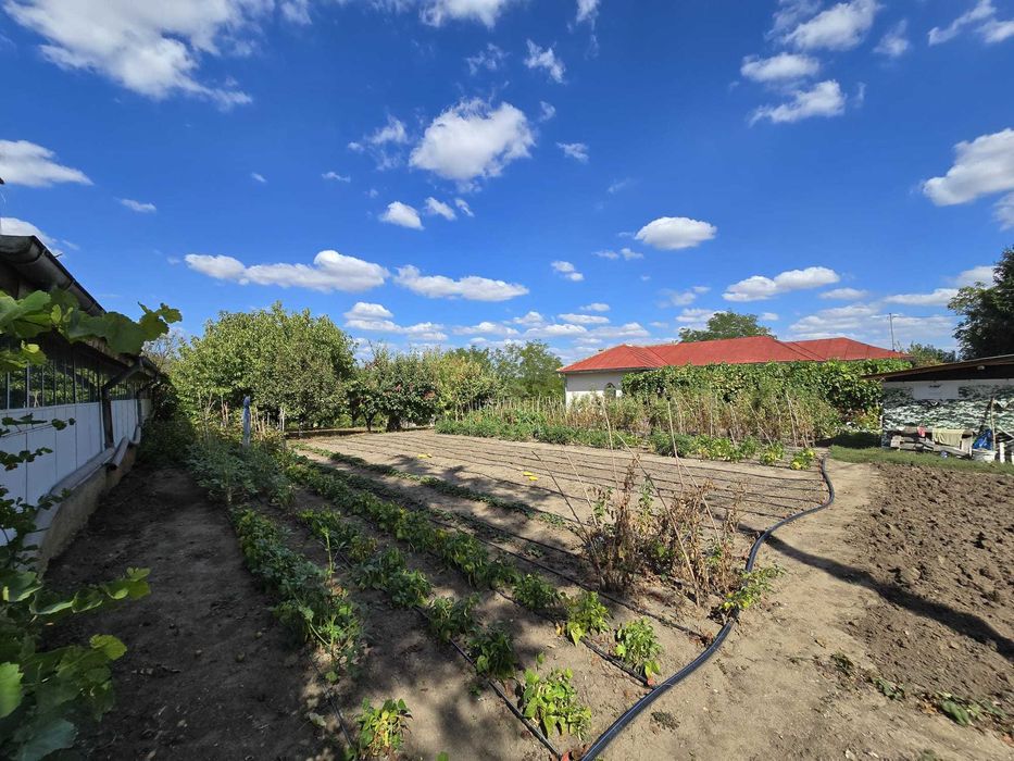 Casă de vânzare – Frumușani, jud. Călărași, aproape de București