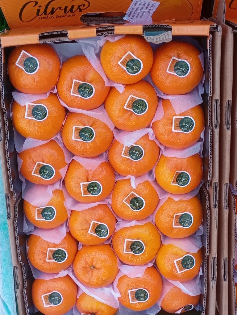 Mandarin zoʻr Shirin Dastafka xizmati bor