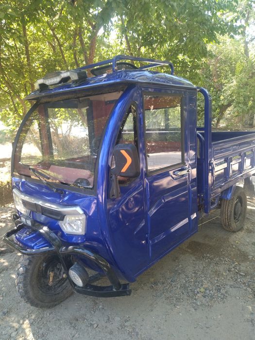 Електра мураве янги