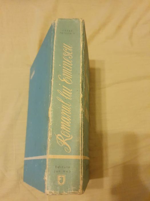 Romanul lui Eminescu, Cezar Petrescu, ed. Junimea Iași 1984.