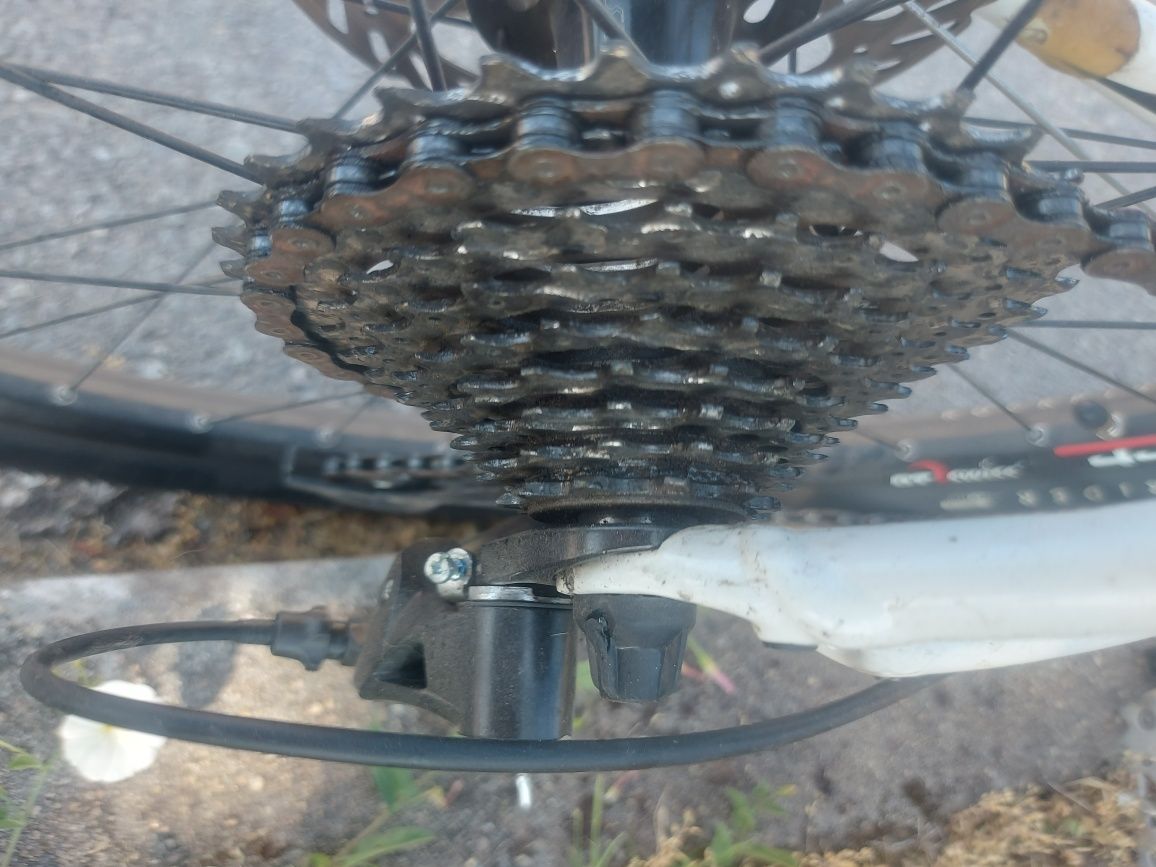 Specialized Rockhopper Comp 26