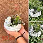 Handmade cu Dizabilitati