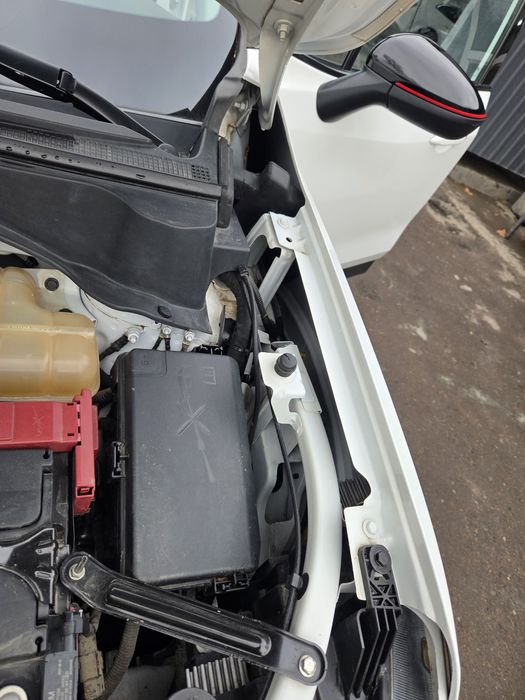 Orlando 2023 new kak novaya