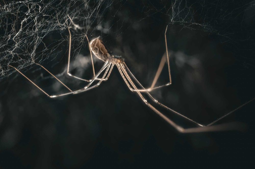 Обектив Sigma 105mm f2.8 Macro за Sony FE