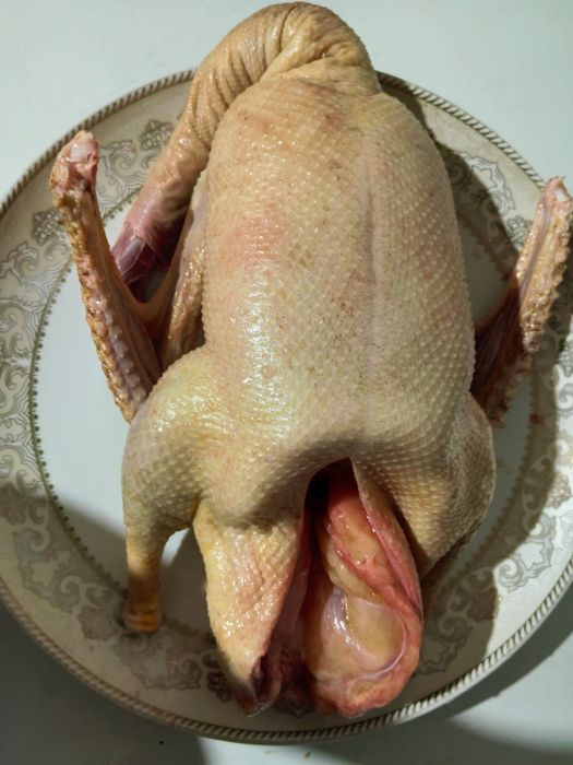 Продам тушку гуся, кг 4000 тг.