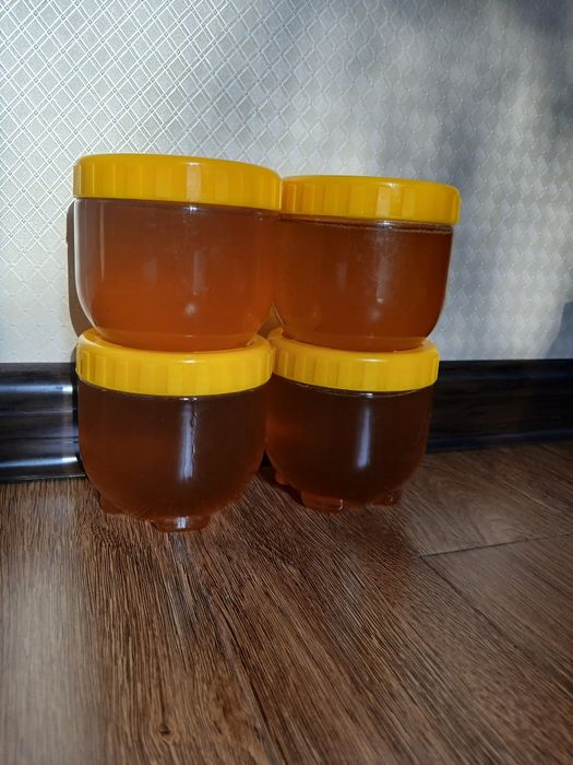 Toza Asal Kigiz Asal