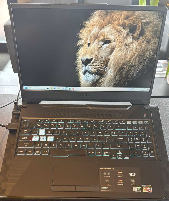 Laptop Asus Tuf Gaming A15 FA506IC-HN042 32GB RAM