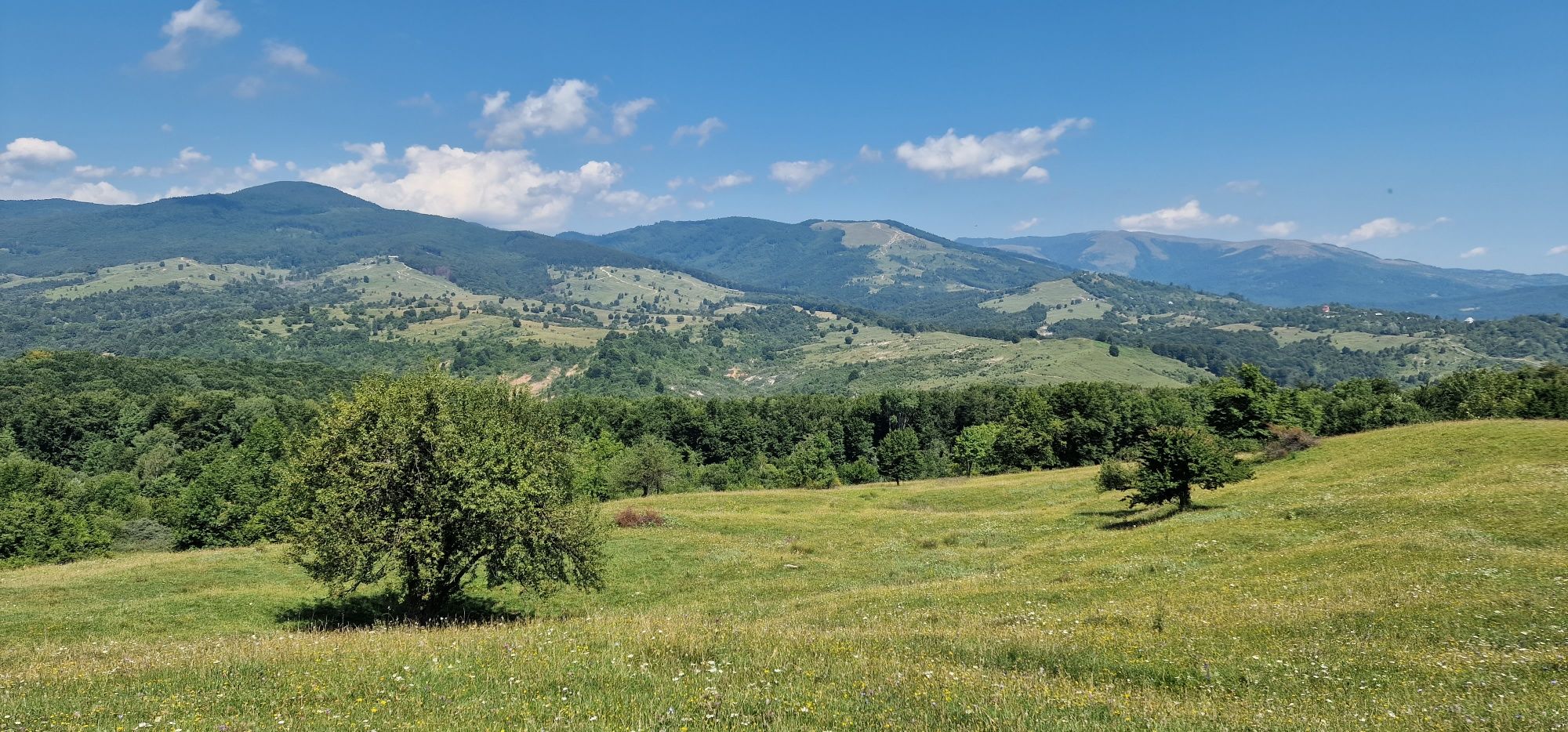 Teren Loturi Talea-Breaza lângă pădure