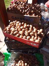 Орехи от домашна градина
