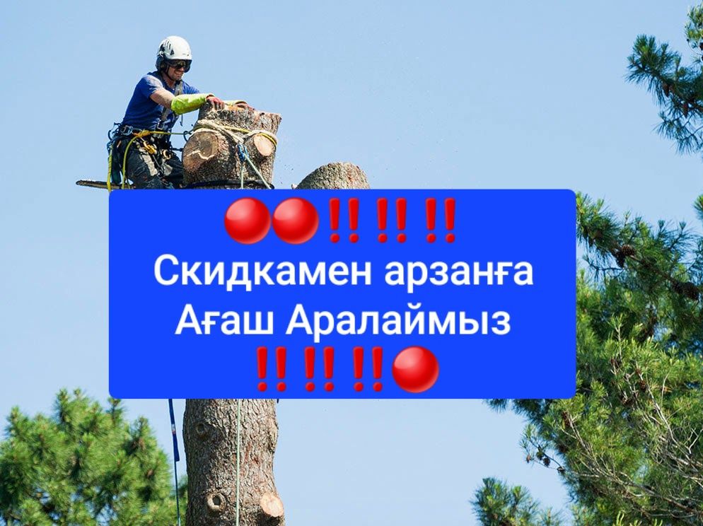 Пилим деревья Бесплатно