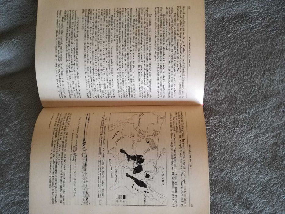 Geologie stratigrafica - G. Macovei