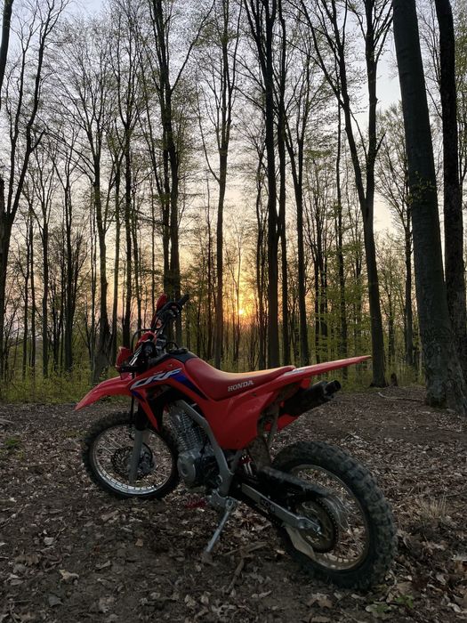 Honda CRF 125 F Model 2023 cross copii/adulti