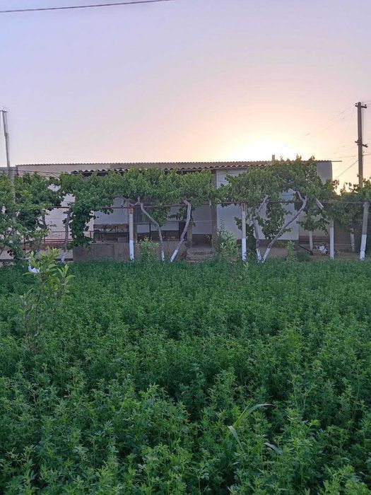 Zo‘r imkoniyat! tayyor 2 xonali uy va keng yer maydoni sotuvda.