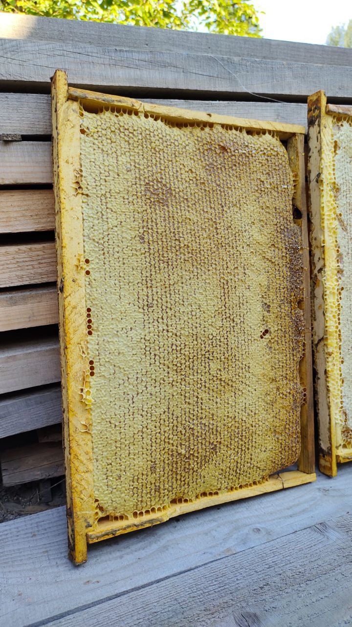 Натуральный Мёд, Сотовый Мёд,Разнотравья и т.д.  свежий продукт