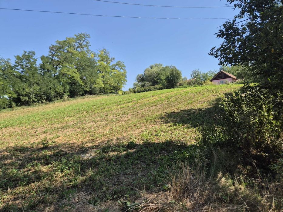 Casă de vânzare în centrul satului Răzoare, Mureș + teren, anexe, gaz