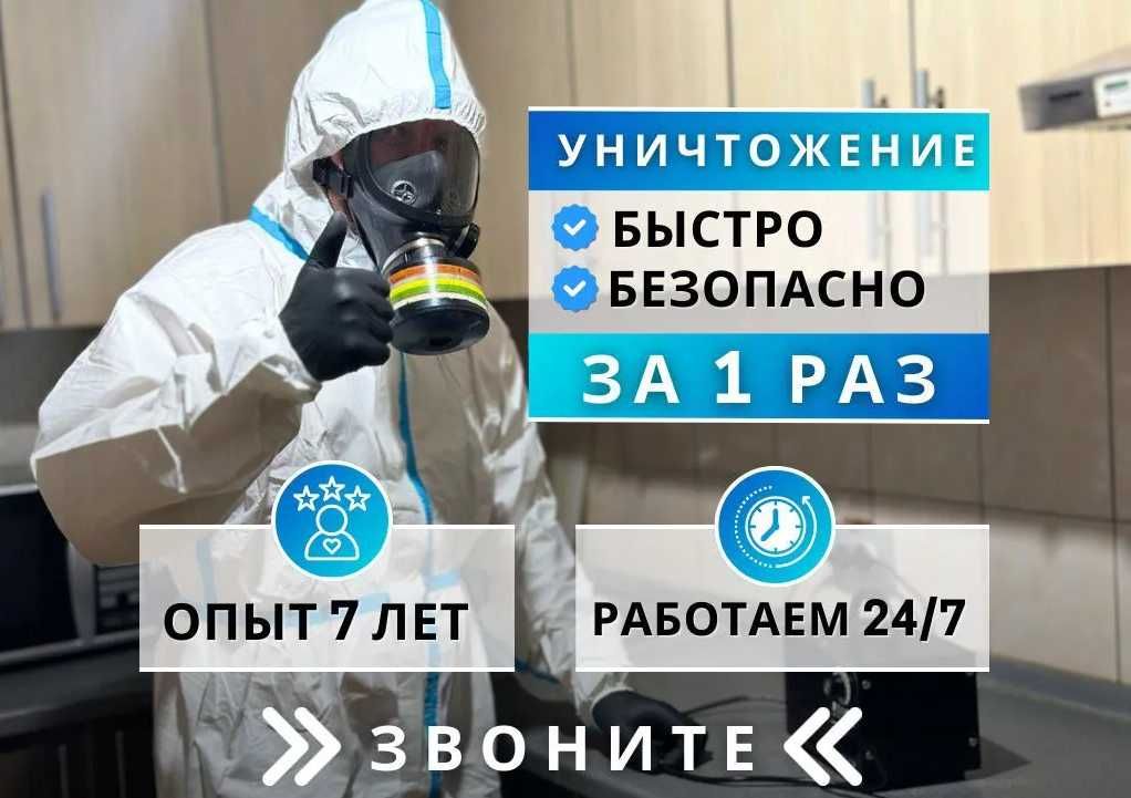 Чивин пашша илон кана клоп клапа чимоли ари сичкон каламуш Дезинфекция