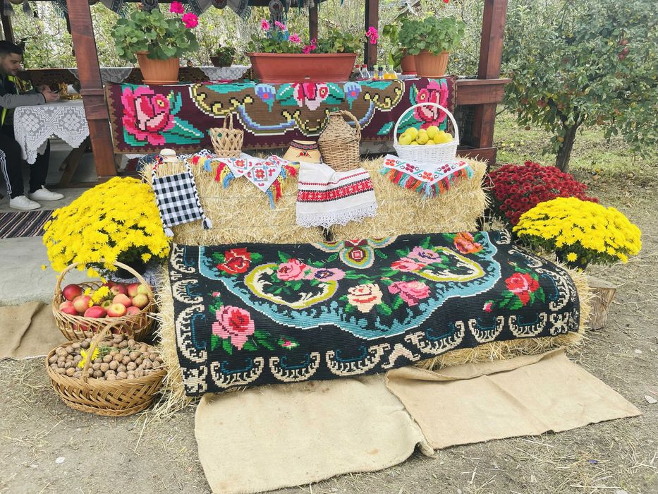 Casa de vacanta de inchiriat - Buciumi Maramures