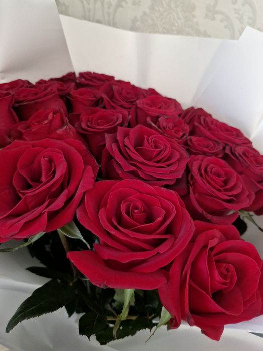 Продам Красные розы — крупные, свежие,