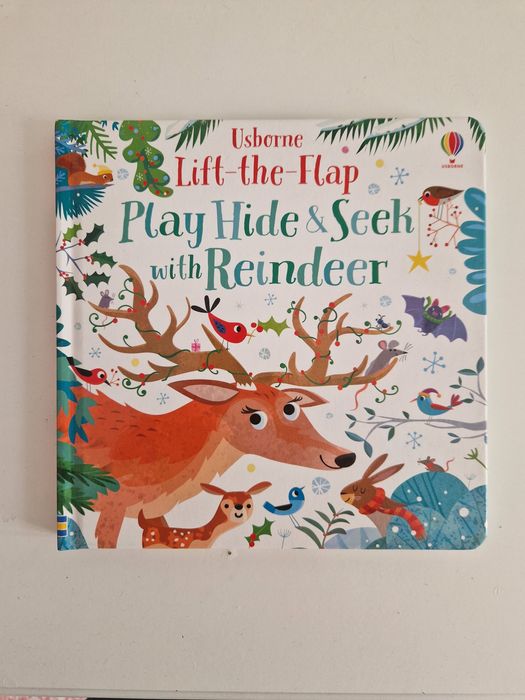 Lot cărticele Usborne