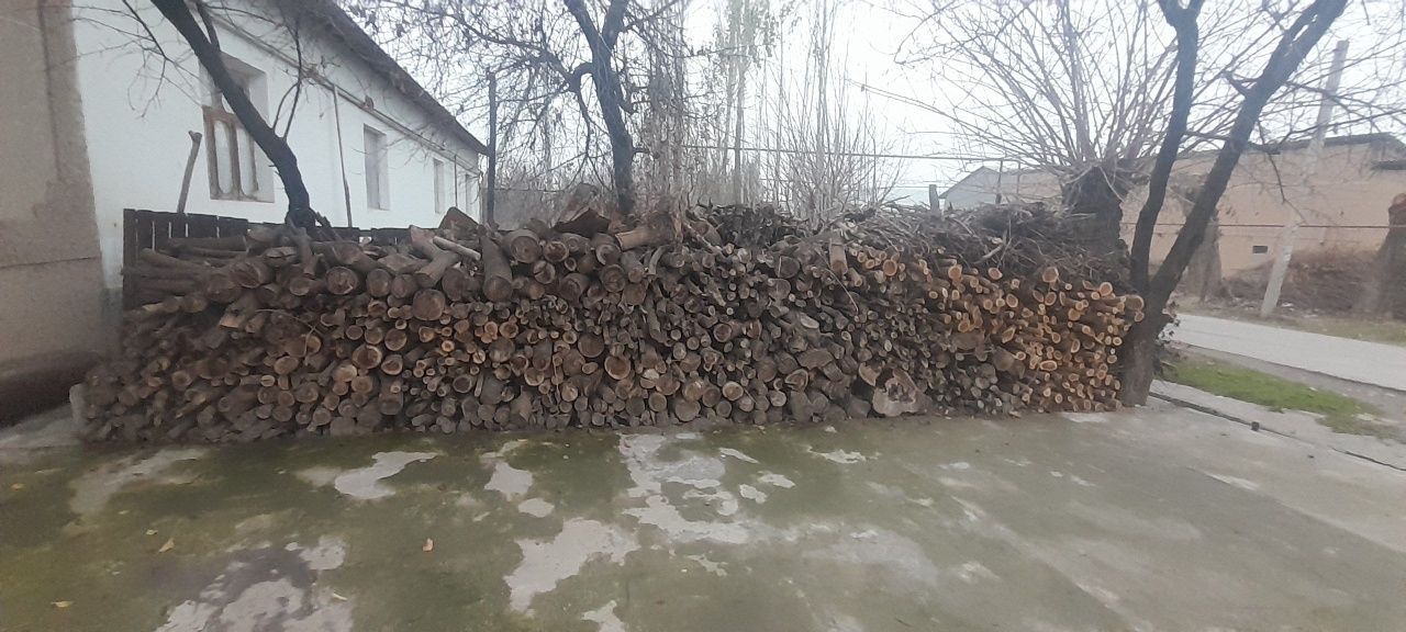 Kelishilgan holdan o'tin sotamiz