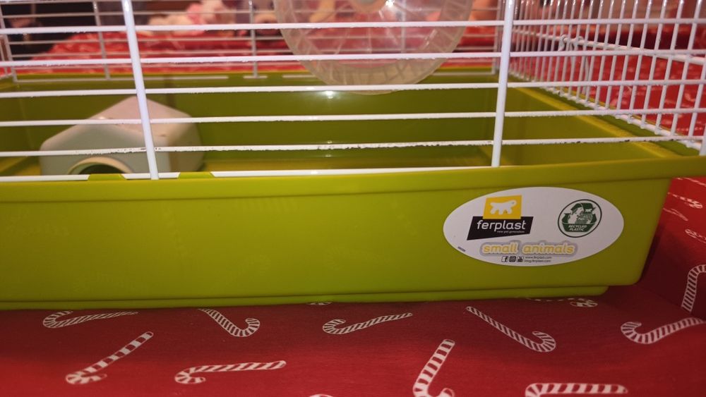 Cușcă hamsteri Ferplast+rotita+adăpost