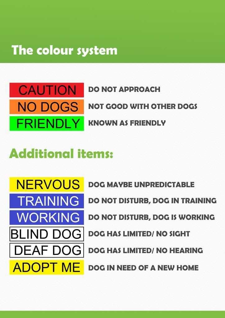 Zgarda Lesa DEXIL DOG NERVOUS Yellow Colour Coded S-M Neck Size 10-17”