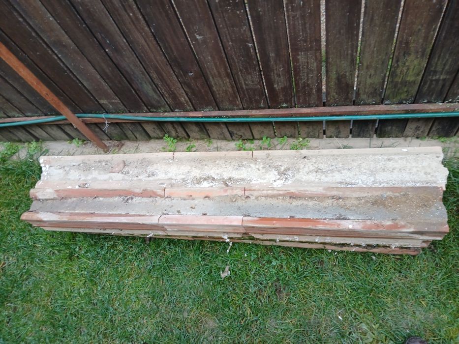 Vând buiandrugi la preț redus